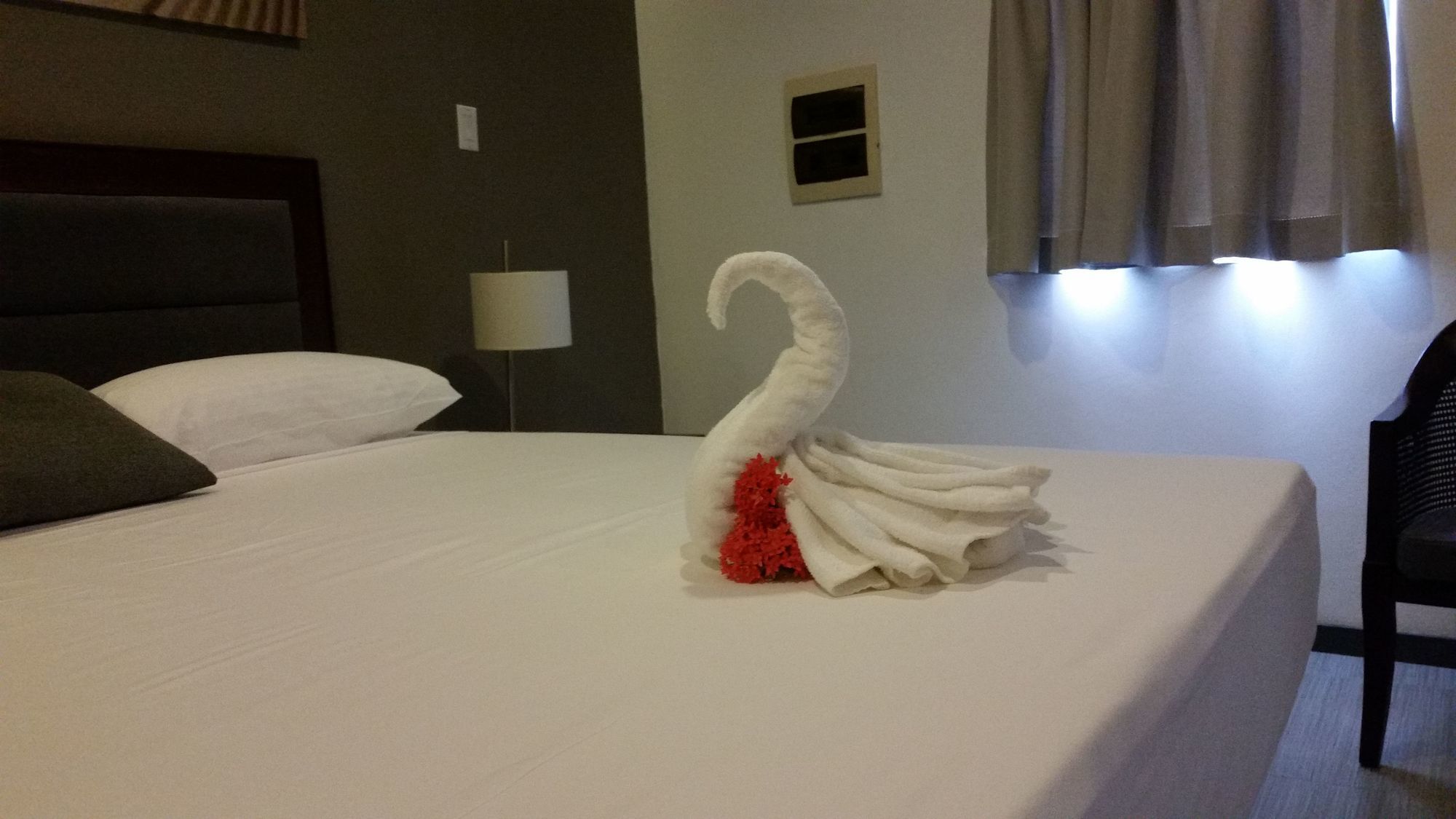 Curacao Suites Hotel Willemstad Extérieur photo