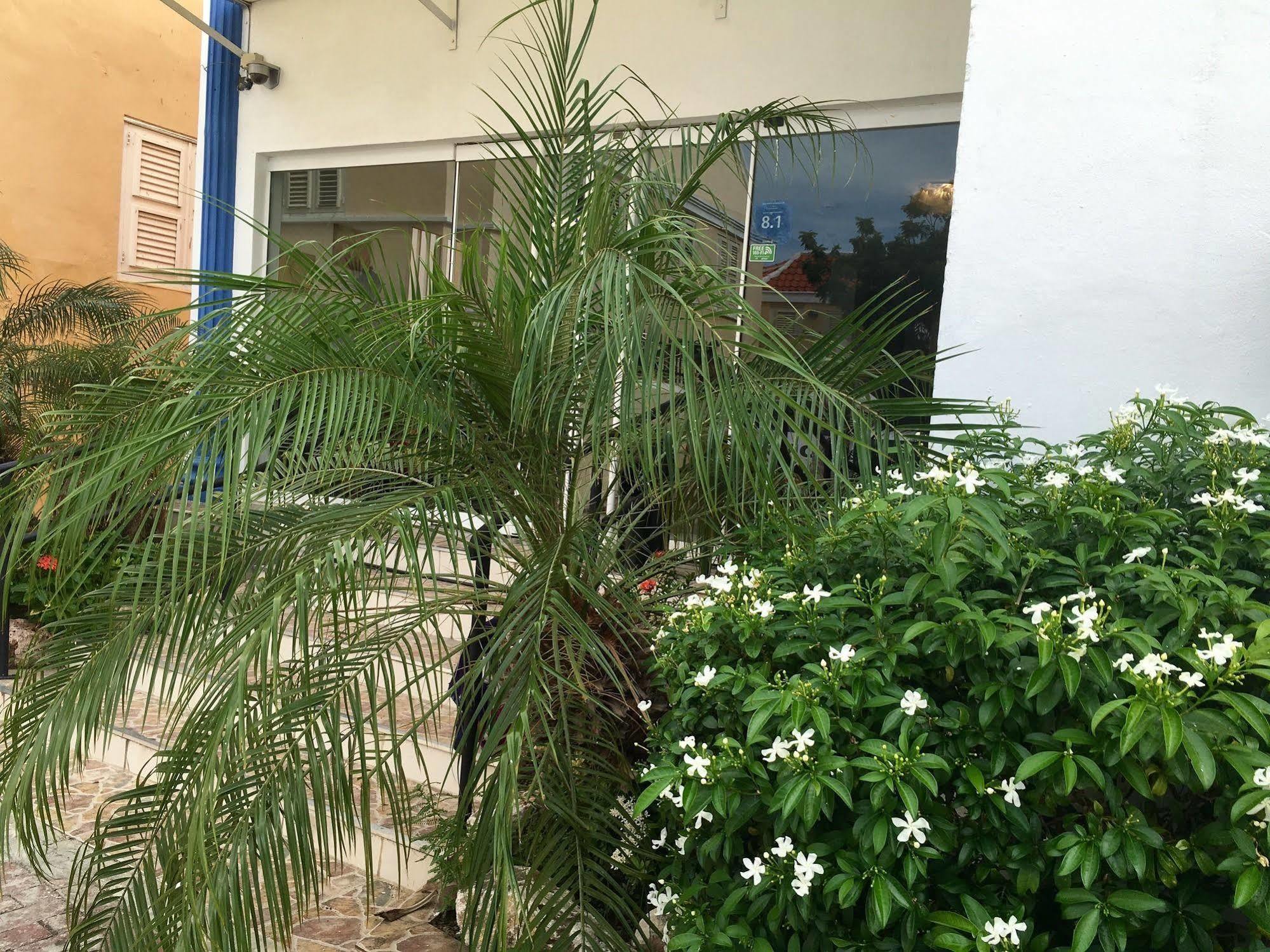 Curacao Suites Hotel Willemstad Extérieur photo